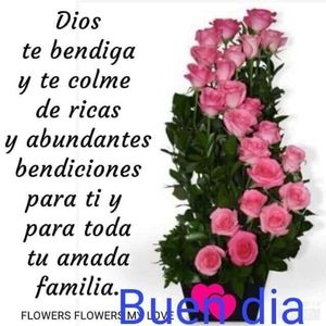 Meet your Posher, Dalisa